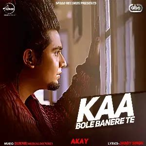 kaa bole banere te song download